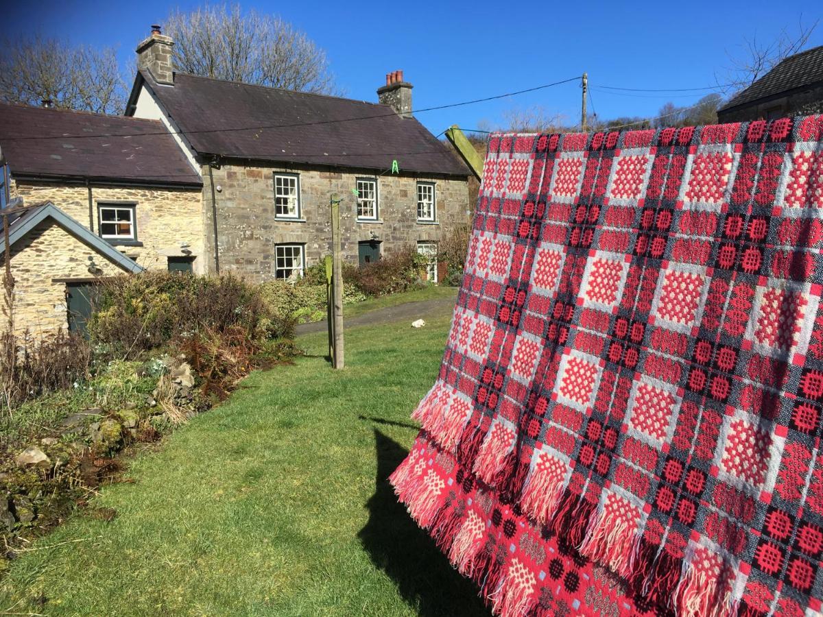 Llandysul Nantgwynfaen Organic Farm Walesヴィラ エクステリア 写真