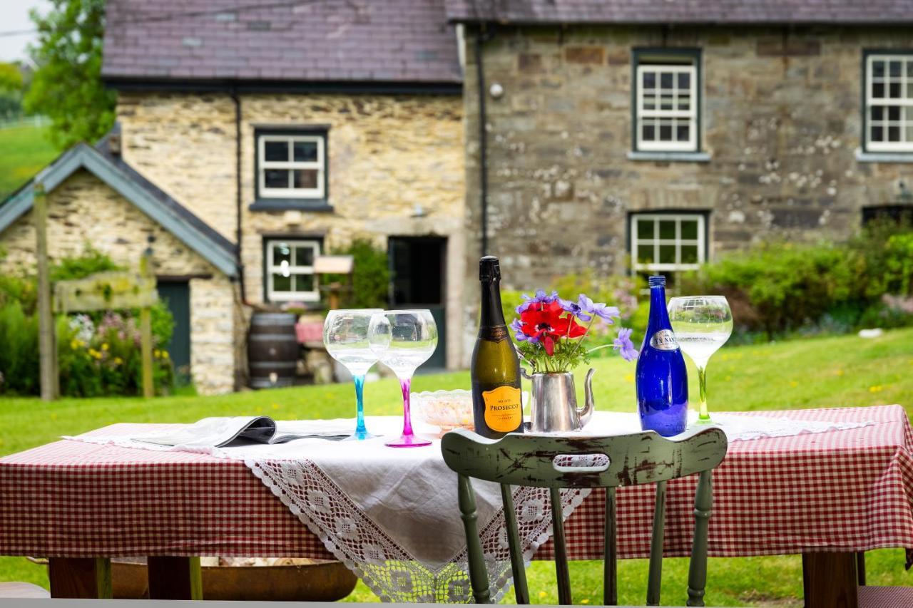 Llandysul Nantgwynfaen Organic Farm Walesヴィラ エクステリア 写真