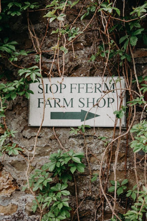 Llandysul Nantgwynfaen Organic Farm Walesヴィラ エクステリア 写真