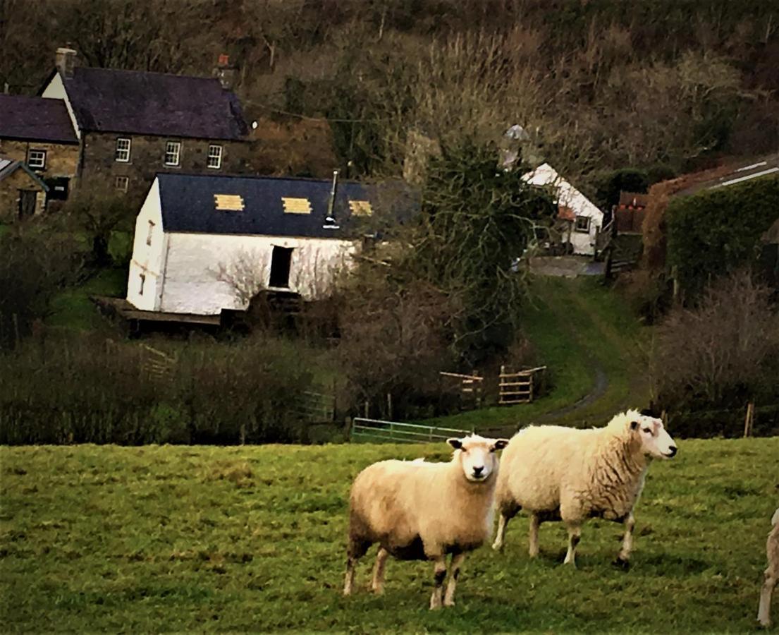 Llandysul Nantgwynfaen Organic Farm Walesヴィラ エクステリア 写真