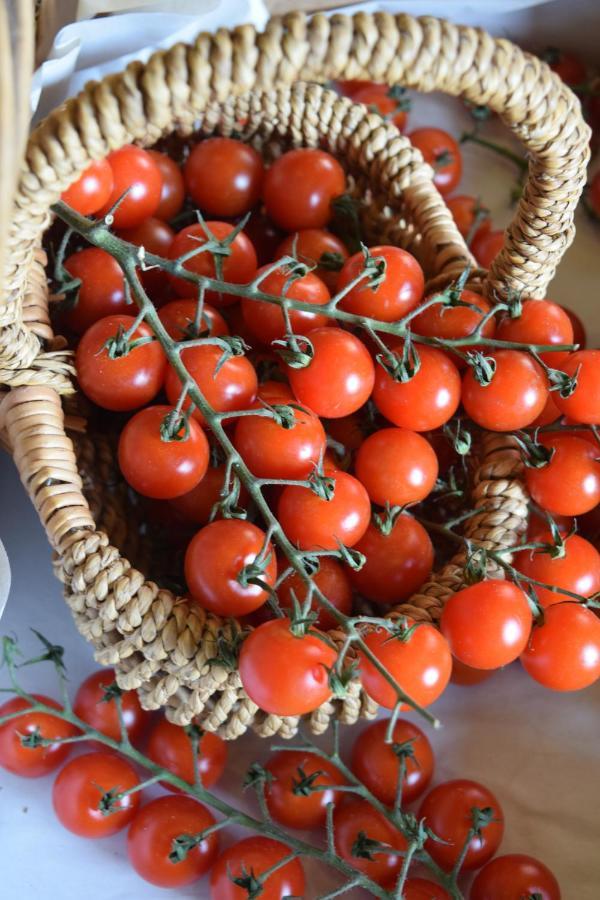 Llandysul Nantgwynfaen Organic Farm Walesヴィラ エクステリア 写真