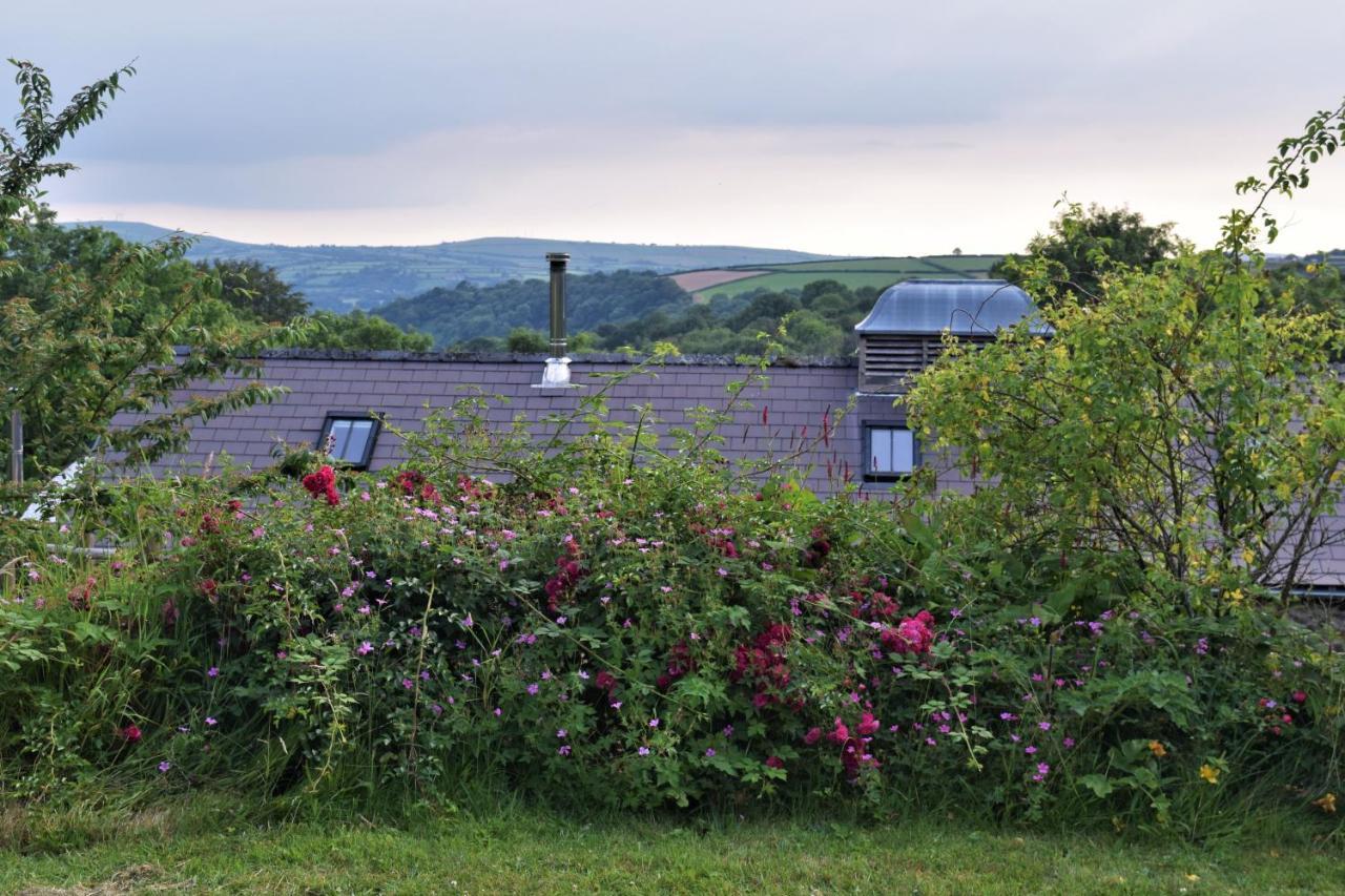 Llandysul Nantgwynfaen Organic Farm Walesヴィラ エクステリア 写真