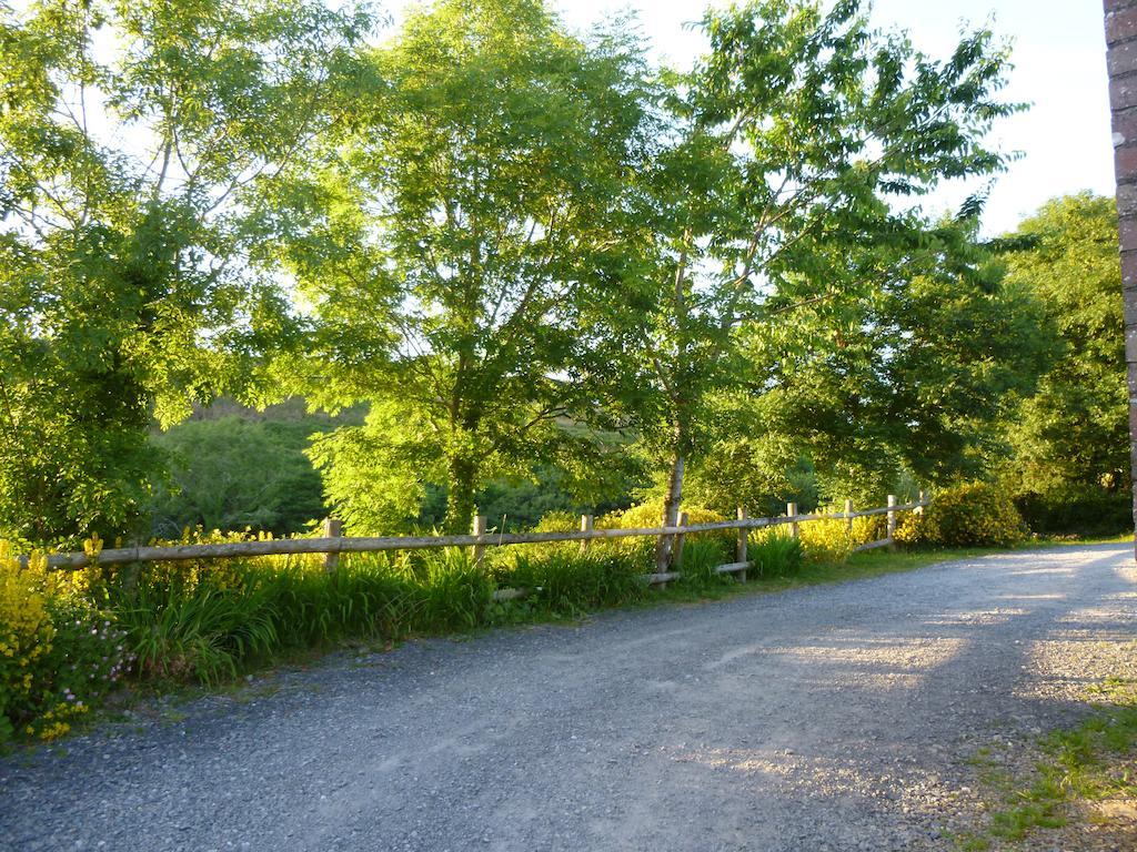 Llandysul Nantgwynfaen Organic Farm Walesヴィラ エクステリア 写真