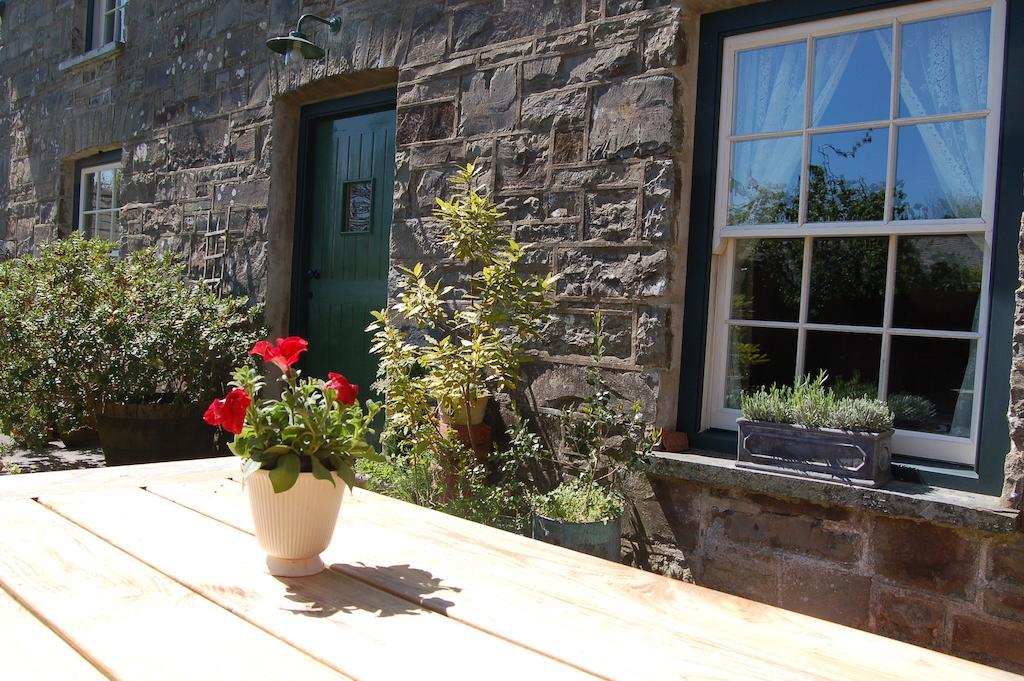 Llandysul Nantgwynfaen Organic Farm Walesヴィラ エクステリア 写真