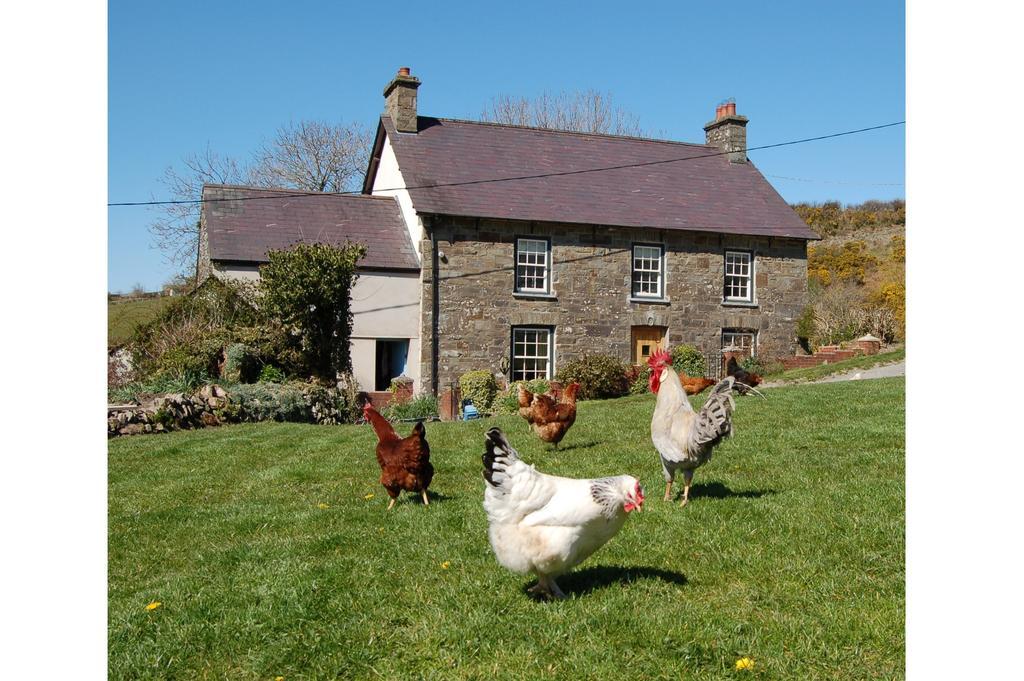 Llandysul Nantgwynfaen Organic Farm Walesヴィラ エクステリア 写真