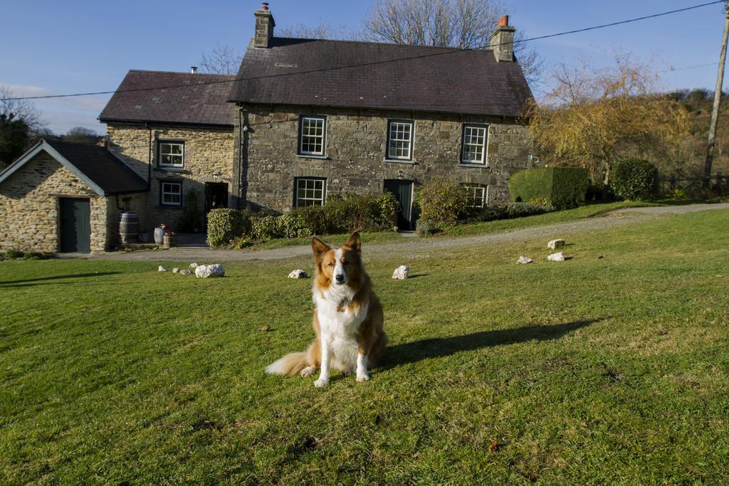 Llandysul Nantgwynfaen Organic Farm Walesヴィラ エクステリア 写真